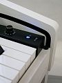 Sai Piano P-150WH